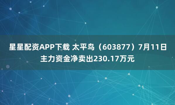 星星配资APP下载 太平鸟（603877）7月11日主力资金净卖出230.17万元