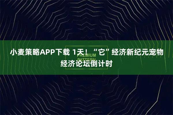 小麦策略APP下载 1天！“它”经济新纪元宠物经济论坛倒计时