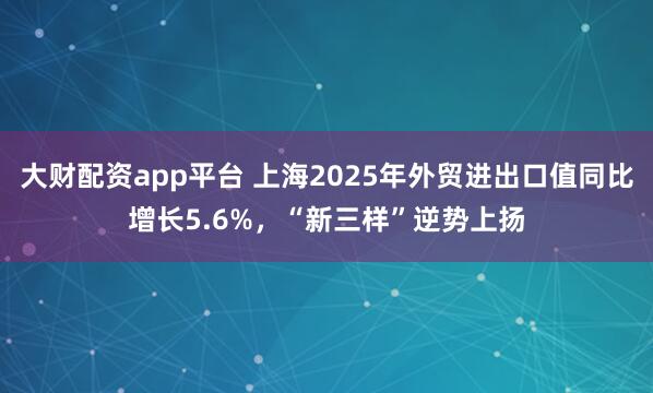 大财配资app平台 上海2025年外贸进出口值同比增长5.6%，“新三样”逆势上扬