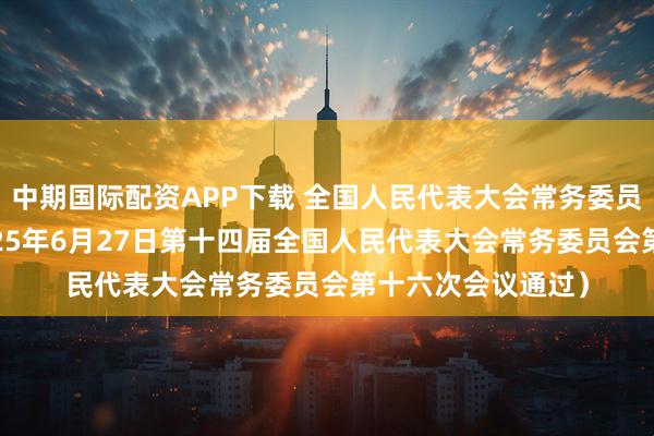 中期国际配资APP下载 全国人民代表大会常务委员会任免名单 （2025年6月27日第十四届全国人民代表大会常务委员会第十六次会议通过）
