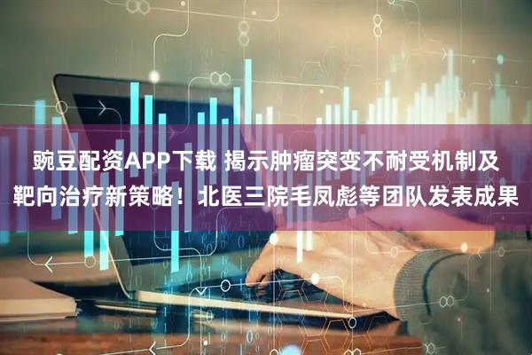 豌豆配资APP下载 揭示肿瘤突变不耐受机制及靶向治疗新策略！北医三院毛凤彪等团队发表成果